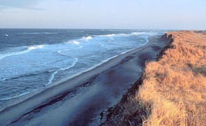 Cape Cod National Seashore