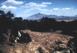 Coronado National Memorial