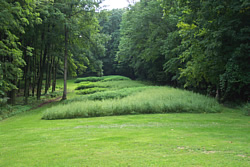 Effigy Mounds National Monument