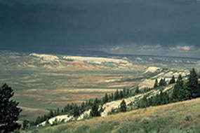 Fossil Butte National Monument