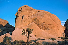 Joshua Tree National Park