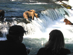 Katmai National Park & Preserve