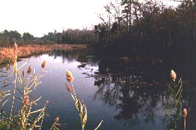 New Jersey Pinelands National Reserve